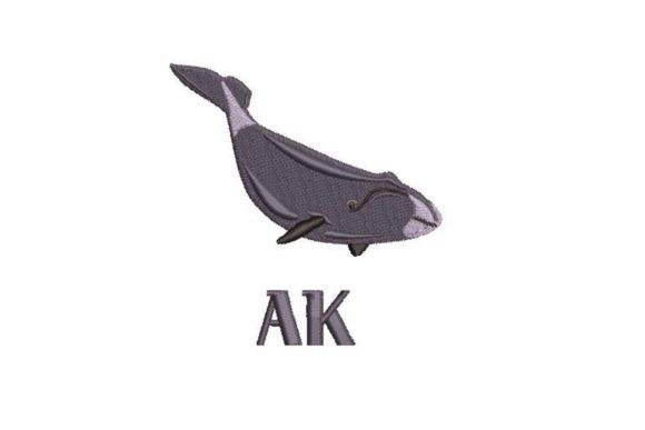 Bowhead Whale Embroidery: A Designer’s Review