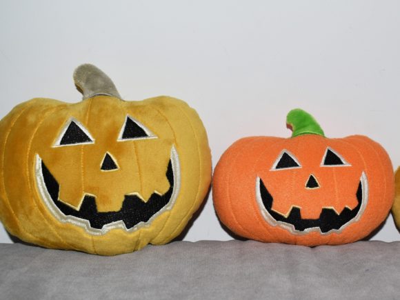 Pumpkin ITH: A Designer’s Review for Handmade Gifts