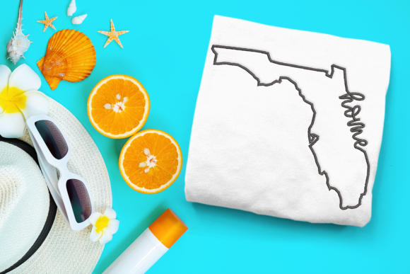 Reviewing Florida Home State Outline for Boutique Apparel